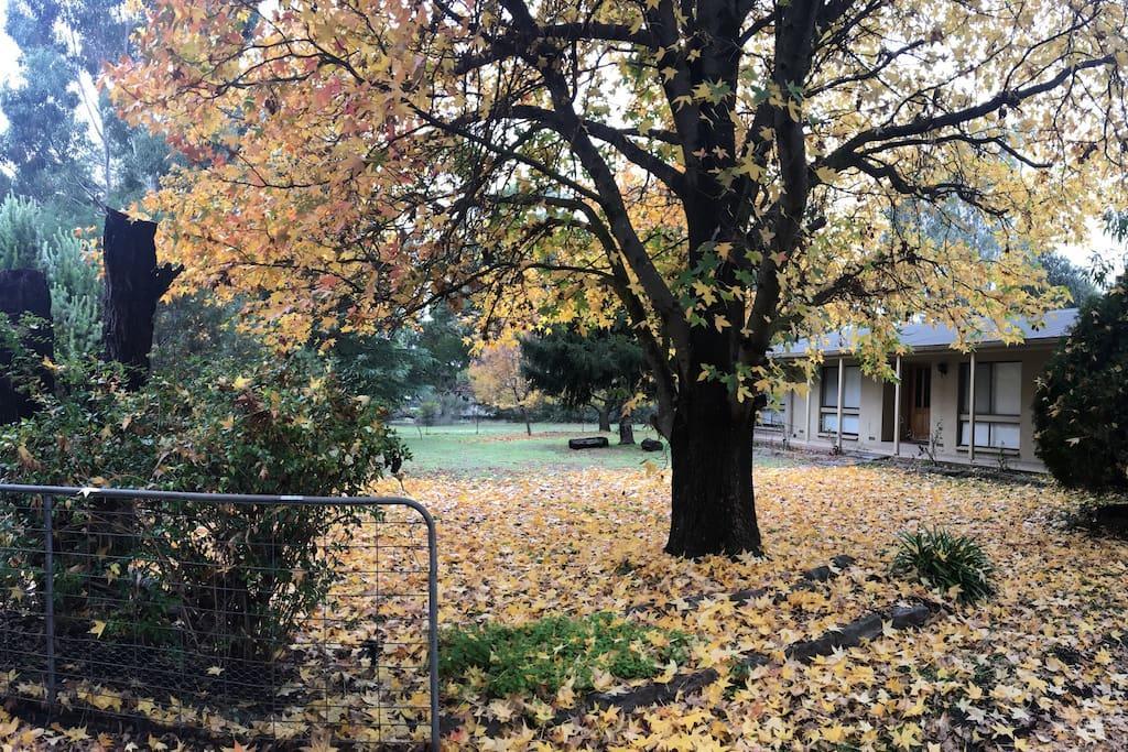 The Rocks Apartments Halls Gap Exterior foto